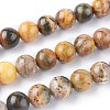 Natural Bumblebee Jasper Beads Strands X-G-F691-01-10mm-1