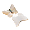 Natural White Shell & Paua Shell Cabochons SSHEL-I026-27-2