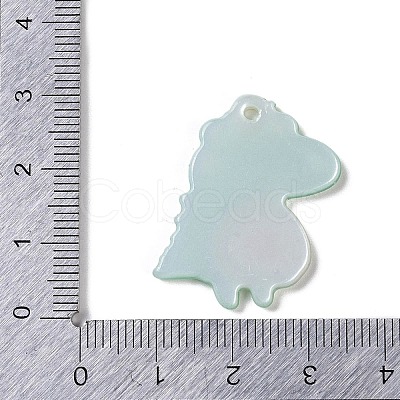 Acrylic Pendants OACR-R271-08C-1