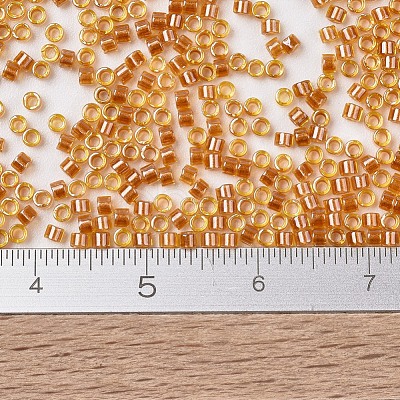 MIYUKI Delica Beads X-SEED-J020-DB1702-1