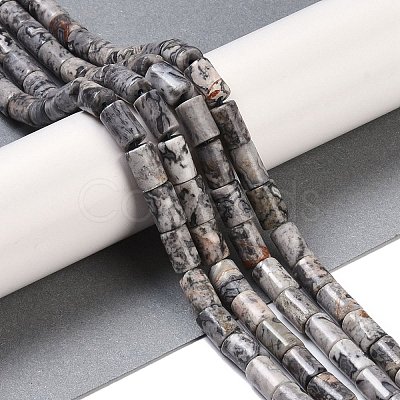 Natural Map Stone Beads Strands G-C128-A04-01-1