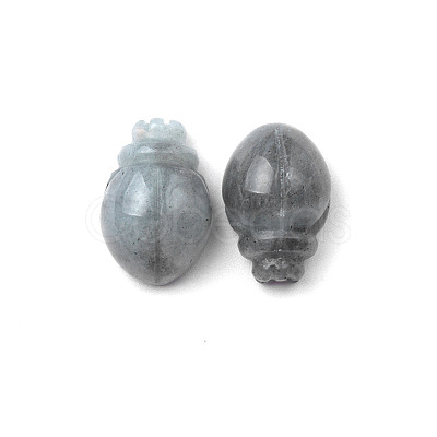 Natural Labradorite Carved Healing Beetle Figurines PW-WG28176-08-1