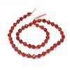 Natural Carnelian Beads Strands G-O201B-17-2