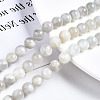 Natural White Moonstone Beads Strands G-N328-51B-01-3