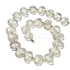 Natural Green Quartz Beads Strands G-H078-B21-01-3