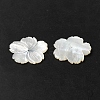 Natural White Shell Beads SHEL-M021-08B-3