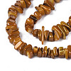 Natural Trochid Shell/Trochus Shell Beads Strands SHEL-S258-080-B03-3