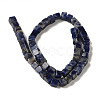 Natural Sodalite Beads Strands G-B078-K01-01-3