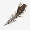 Natural Peacock Feather AJEW-TA0013-08-3