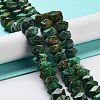 Natural African Turquoise(Jasper) Beads Strands G-D091-A18-2