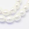 Shell Pearl Beads Strands BSHE-P024-15-3