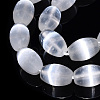 Dyed Natural Selenite Beads Strands G-T138-233A-3