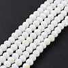 Electroplate Opaque Solid Color Glass Beads Strands EGLA-A034-P6mm-L17-2