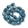 Natural Apatite Beads Strands G-P541-A01-06-2