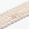 Grade A Natural Cultured Freshwater Pearl Strands A23WM011-01-5