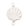 Natural Freshwater Shell Connector Charms PALLOY-JF02442-02-1