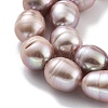 Natural Cultured Freshwater Pearl Beads Strands  PEAR-P062-13F-4