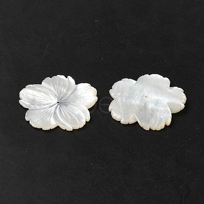 Natural White Shell Beads SHEL-M021-08B-1