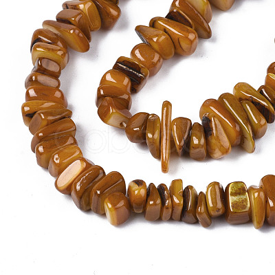 Natural Trochid Shell/Trochus Shell Beads Strands SHEL-S258-080-B03-1