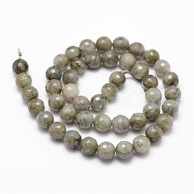 Natural Labradorite Beads Strands G-D840-10-8mm-1