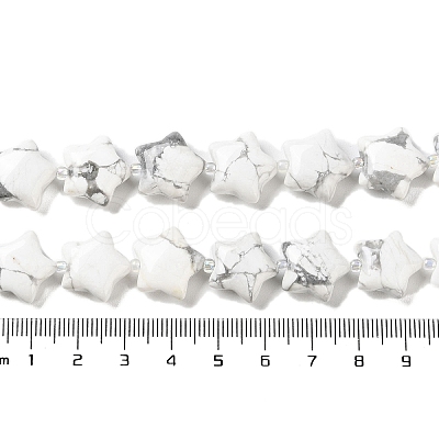 Natural Howlite Beads Strands G-NH0005-006-1