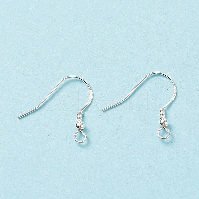 Sterling Silver Earring Hooks X-STER-G011-16-1