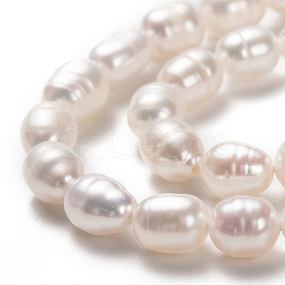 Natural Cultured Freshwater Pearl Beads Strands PEAR-L033-65-1