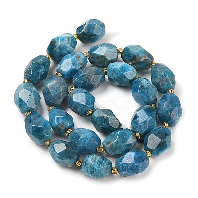 Natural Apatite Beads Strands G-P541-A01-06-1