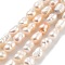 Natural Cultured Freshwater Pearl Beads Strands, Grade 2A+, Oval, PeachPuff, 3.8~4.2mm, Hole: 0.6mm, about 30~31pcs/strand, 7.09''(18cm)