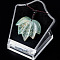 Natural Indian Agate Pendants Necklaces, Leaf, 14.96 inch(38cm)