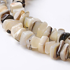 Natural Shell Rectangle Bead Strands X-BSHE-O016-08-1