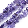 Natural Amethyst Beads Strands G-P332-06-1