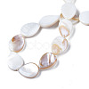 Natural Freshwater Shell Beads Strands SHEL-S278-068-4