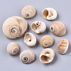 Natural Conch Shell Beads SSHEL-S258-78-2