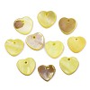 Natural Freshwater Shell Charms SHEL-R113-17J-1