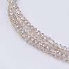 Transparent Glass Beads Strands GLAA-F079-B02-3