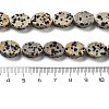 Natural Dalmatian Jasper Beads Strands G-P559-B08-01-5