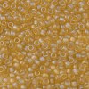 TOHO Round Seed Beads X-SEED-TR08-0162F-2