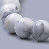 Natural Howlite Beads Strands G-S259-47-10mm-3