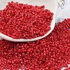 Baking Paint Glass Seed Beads X-SEED-S042-05B-91-1