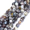 Natural Botswanna Agate Beads Strands G-O173-054-1