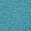 11/0 Grade A Baking Paint Glass Seed Beads X-SEED-N001-A-1016-2