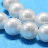 AB Color Plated Shell Pearl Bead Strands BSHE-L011-8mm-C003-4