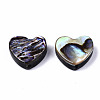 Natural Abalone Shell/Paua Shell Beads SSHEL-T014-16A-2