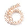 Natural Cultured Freshwater Pearl Beads Strands PEAR-C003-16A-3