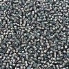 MIYUKI Delica Beads SEED-X0054-DB1712-2