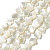 Natural White Shell Beads Strands SHEL-F003-07-1