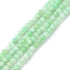 Natural Chrysoprase Beads Strands G-F748-X01-01A-1