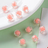 Transparent Acrylic Beads TACR-S152-04A-SS2109-6