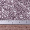 MIYUKI Delica Beads Small X-SEED-J020-DBS0875-4